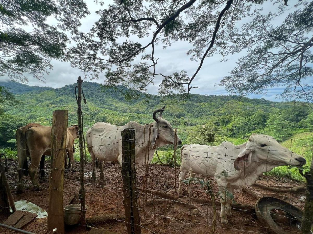 Cabana Tolle Vista Savegre Luaran gambar