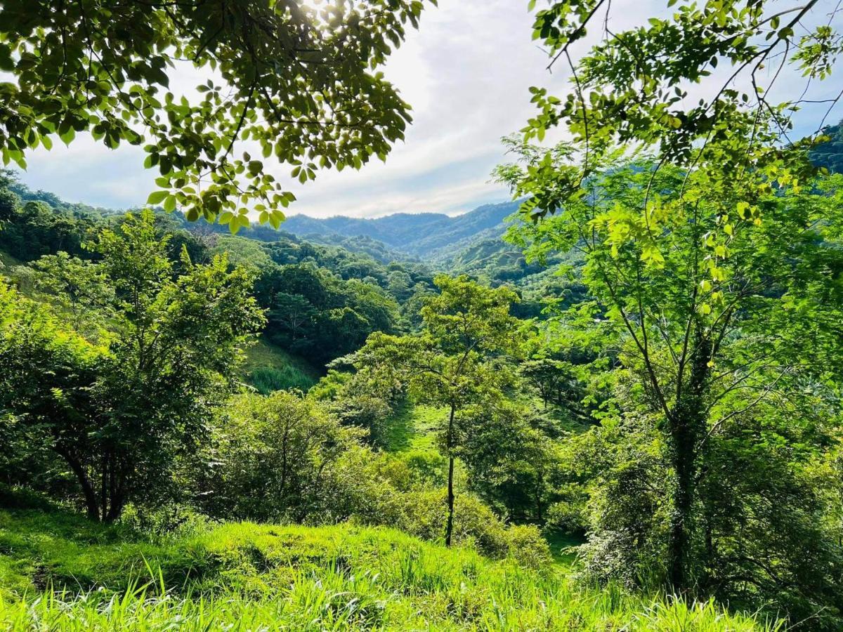 Cabana Tolle Vista Savegre Luaran gambar